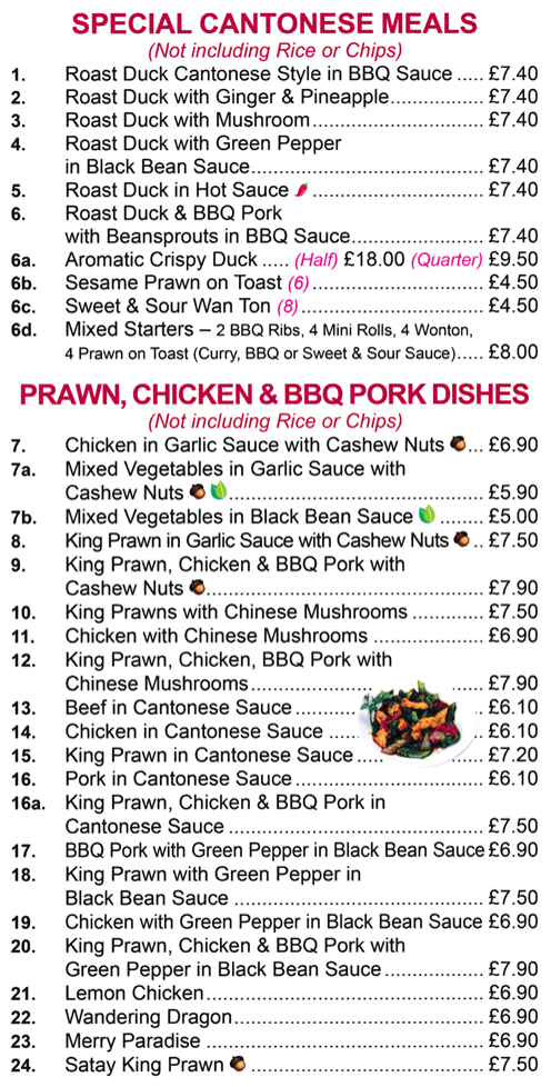 Menu for Orient Chef Chinese takeaway in Carlton - dishes include; Wandering Dragon, Roast Duck Cantonese Style in BBQ Sauce, Merry Paradise, Satay King Prawn, Aromatic Crispy Duck, Sweet & Sour Wan Ton, Sesame Prawn on Toast, Lemon Chicken..