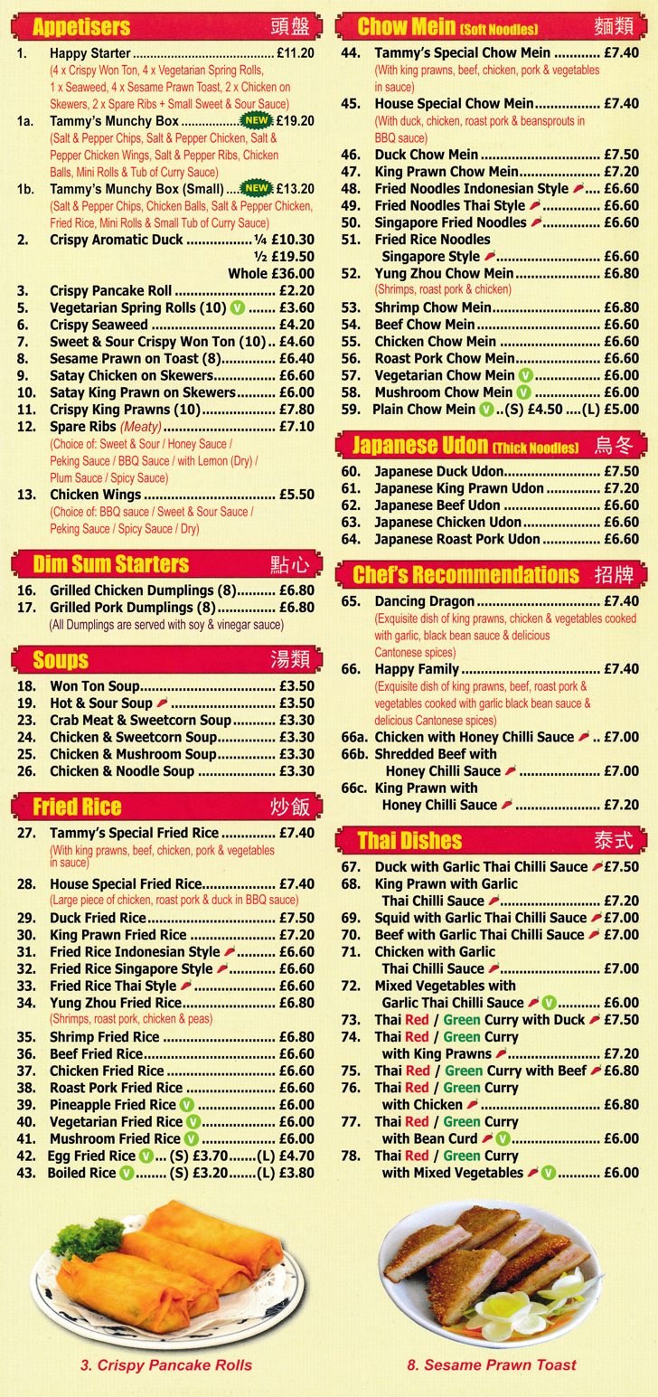 Menu for Tammy's - Crispy Aromatic Duck, Beef Chow Mein, Thai Dishes, Japanese Duck Udon, Won Ton Soup..