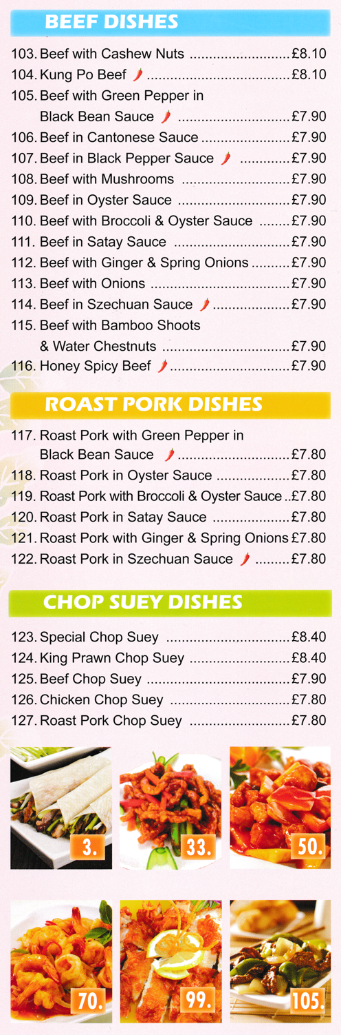 Menu for Wandering Dragon (Beef in Satay Sauce, Chicken Chop Suey, Roast Pork in Oyster Sauce, Beef in Szechuan Sauce..)