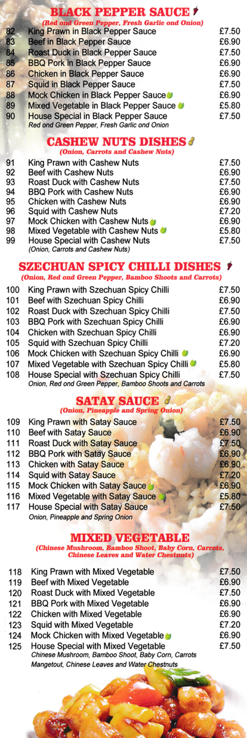 Menu for Wok Inn - Beef with Cashew Nuts, Roast Duck with Szechuan Spicy Chilli, Squid with Satay Sauce, Chicken with Chinese Style..