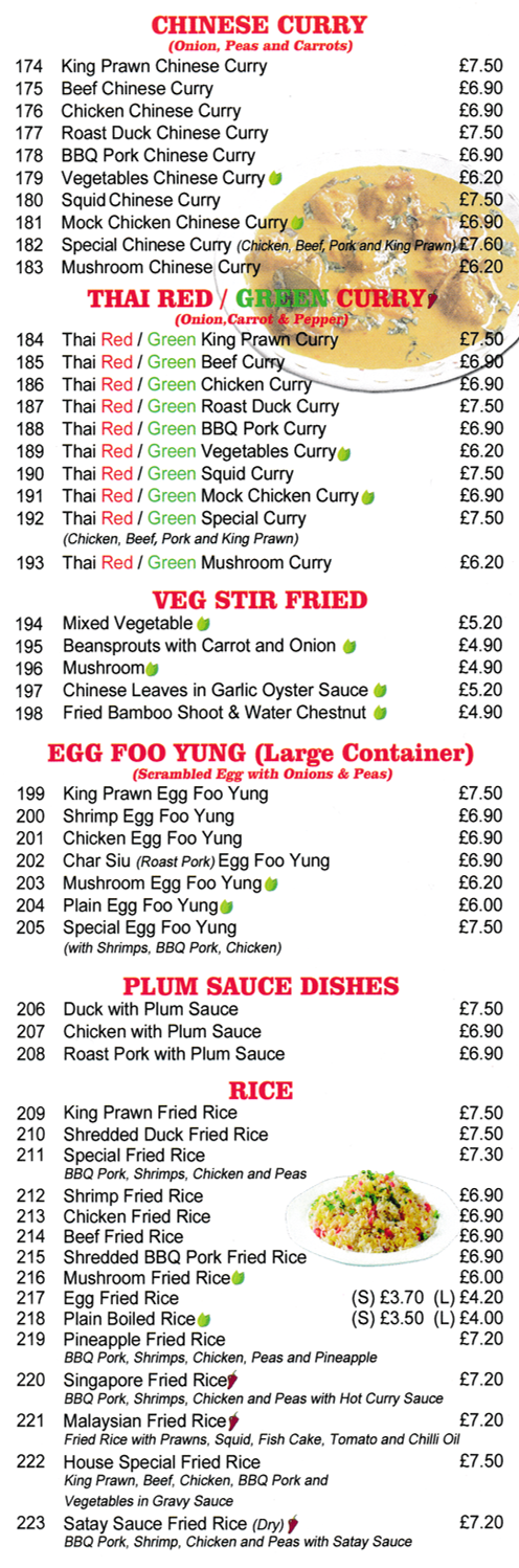 Menu for Wok Inn - Thai Red Curries, Thai Green Curries, Shredded Duck Fried Rice, Beef Chinese Curry..